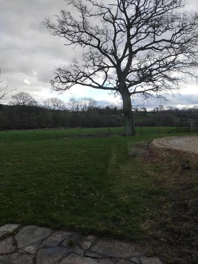 Coed Canol Farm Apartment Abergavenny